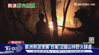 歐洲熱浪侵襲 西葡.法國山林野火肆虐｜TVBS新聞