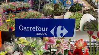 Olha as plantas que chegaram no supermercado Carrefour da Barra da Tijuca Rio de Janeiro