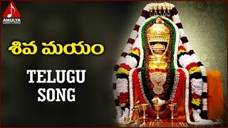 Lord Shiva Telugu Devotional Songs | Shiva Mayam Devotional Song | Amulya Audios And Videos