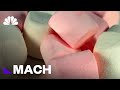 Waiting For A Marshmallow: Kids Today Are More Patient Than In The Past | Mach | NBC News