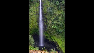 Akaka Waterfalls - Hawaii Island