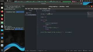 Python 3 - Make a Function to Find String Lengths