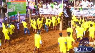 Vignesh vallam jallikattu 2018