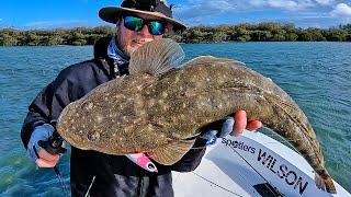 Big Flathead in the shallows!