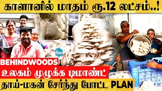 ஒவ்வொரு நாளும் ரூ.40,000..! காளானை வைத்து ஜெயித்த தாய்-மகன்..! வெற்றி சாத்தியமானது எப்படி..?