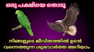 നിങ്ങളുടെ ജീവിതത്തിലേക്ക് വരുന്ന ശുഭവാർത്ത അറിയാം