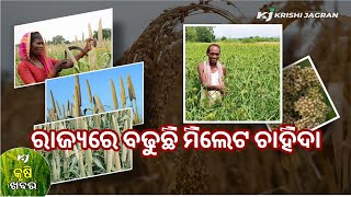 ରାଜ୍ୟରେ ବଢୁଛି ମିଲେଟ ଚାହିଦା। Millet। Odisha Assembly। odia bulletin। Top Agriculture News।