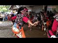 kulu kulu ||TURONGGO MEKAR BUDOYO|| live wlahar kec rebang kab purbaingga