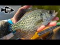 In Search Of Spring Crappie [Slab Stories]