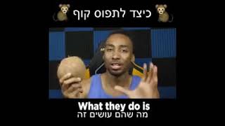 איך תופסים קוף