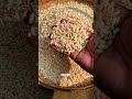 মুড়ি ভাজা puffed rice housewifeofrangpur easysnacks cooking villagefood villagecooking