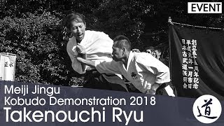 Takenouchi Ryu Koshinomawari Kogusoku - Takenouchi Toichiro - Meiji Jingu Kobudo Demonstration 2018