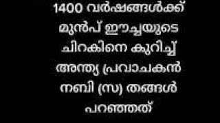 1400 വർഷങ്ങൾക്ക് മുൻപ് ഈച്ചയുടെ ചിറക്കിനെ കുറിച്ച് അന്ത്യ പ്രവാചകൻ നബി(സ)തങ്ങൾ പറന്നത്.