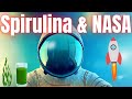 WHAT FUELS ASTRONAUTS? NASA's SUPERFOOD: SPIRULINA!