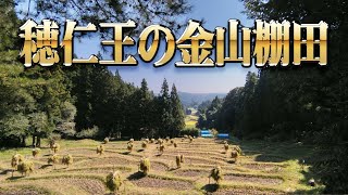 穂仁王の金山棚田