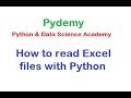 Python - How to Read Excel File with Python Openpyxl | Learn Python, R & Data Science | Pydemy