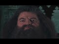 mad hagrid 3