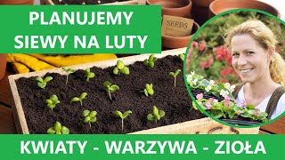 Co siejemy w lutym? Jakie kwiaty, warzywa, zioła