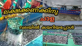 വള്ളത്തിൽ ചാള ചാകര കയറിയപ്പോൾ| Deep sea Fishing