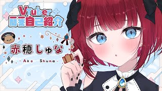 \\ 冒険ギルドの受付嬢！赤穂しゅなだよ🙌 /〖新人VTuber / 赤穂しゅな🧸💎〗VTuber一問一答自己紹介