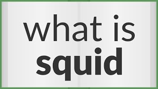 Squid | meaning of Squid