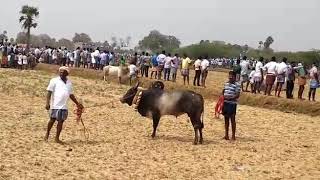 Thekkur seerumpuli da