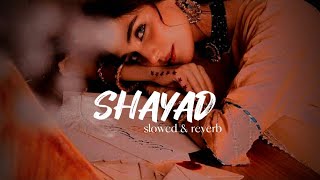 SHAYAD Lofi - Slowed & Reverb Song | Arijit Singh