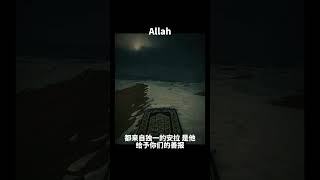 古兰经注释（妇女章）#allah #古兰经 #穆罕默德 #islam #kuran #伊斯兰