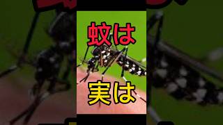 蚊は実は #shorts #bug #豆知識 #虫