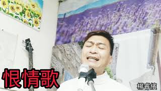 陳昇：恨情歌  /楊睿繽Cover