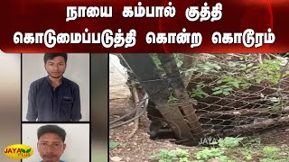 நாயை கம்பால் குத்தி கொடுமைப்படுத்தி கொன்ற கொடூரம் | Dog | Attack | Covai