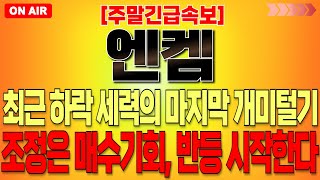 [엔켐 주가 전망] \