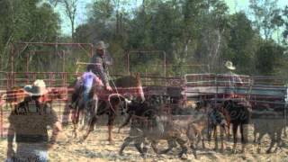 Bubba S Faith Cattle Company