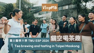 2024 TMU ESP Vlog #16 | 台北貓空喝茶趣 | Tea brewing and tasting in Taipei Maokong | 臺北醫學大學2024新南向菁英計畫