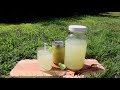 making u0026 canning limeade concentrate ~ preserving limes