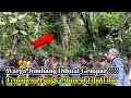 Viral...! Misteri Gunung Di Jombang Terkuak Setelah Muncul Fenomena Langka Yang Bikin Gempar Warga