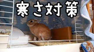 【うさぎの冬支度】寒さ対策でヒーター・座ぶとん・ケージカバーを活用します！