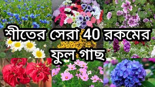 শীতের সেরা 40 রকমের ফুলগাছ||Top 42 Winter Flowers Plants||@helpfulgarden7067