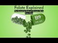 Folate: Why Vitamin B9 is Crucial for Your Well-being