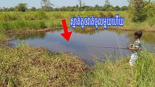 #បបក់ត្រី #og វណ្ណលាបបក់ត្រីខាំសាហាវ @4td762