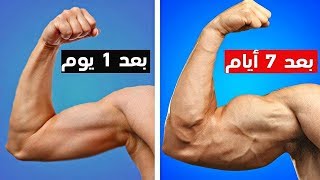 أقوى تمرين ذراع بايسبس و ترايسبس في 5 دقائق ممكن تعملها فى البيت - بدون أوزان [ اليوم تاني ]