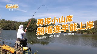 300一天漲價到500，玉米打浮依然連竿，這次老板臉色有點難看