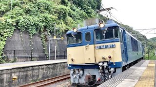 【4K】中央西線 古虎渓駅にて EF64重連貨物通過