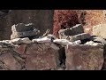 agama lizard running on a wall in cyprus