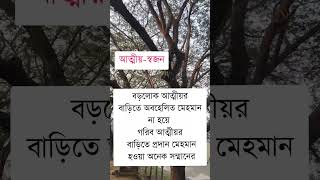 আত্মীয়-স্বজন #2025