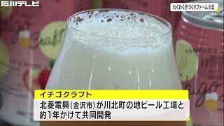 イチゴ使ったクラフトビール メーカーが地ビール工場と共同開発