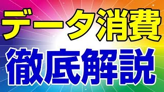 楽天モバイル 徹底解説！ データ消費のカウントと、ノーカウントはしっかり把握しておこう！ 　APN設定は概要蘭に記載あるので参考にどうぞ！