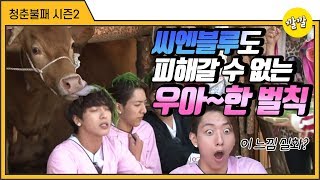 [청춘불패2] #22-1 씨엔블루도 피해갈 수 없는 우아~한 벌칙★(ft,소도 알아보는 미모)