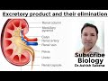 NEET/11th Biology Excretory product and their elimination