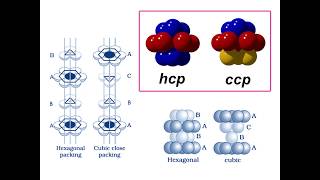 hcp vs ccp